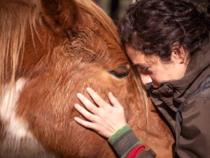 Woman resting her forehead on the nose of a horse. Her hands are placed on the side of the horse's face and both the woman's and the horse's eyes are closed.